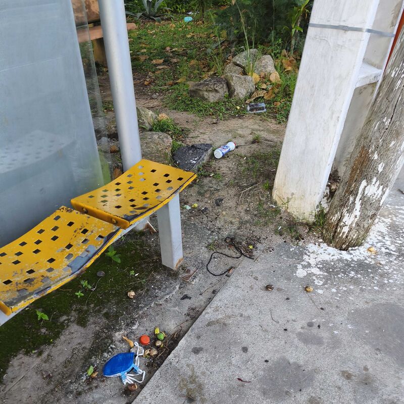 Imagem da publicação