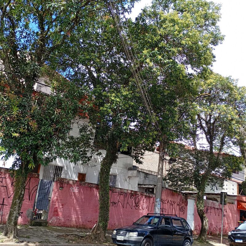 Imagem da publicação