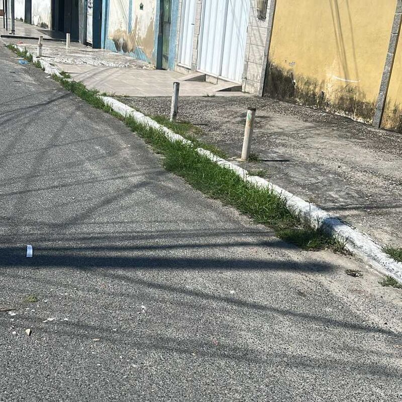 Imagem da publicação