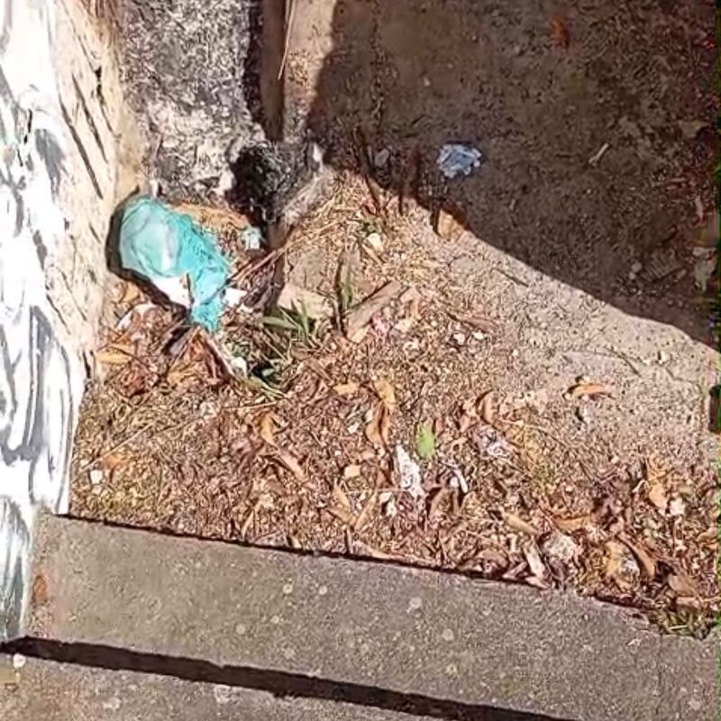 Imagem da publicação