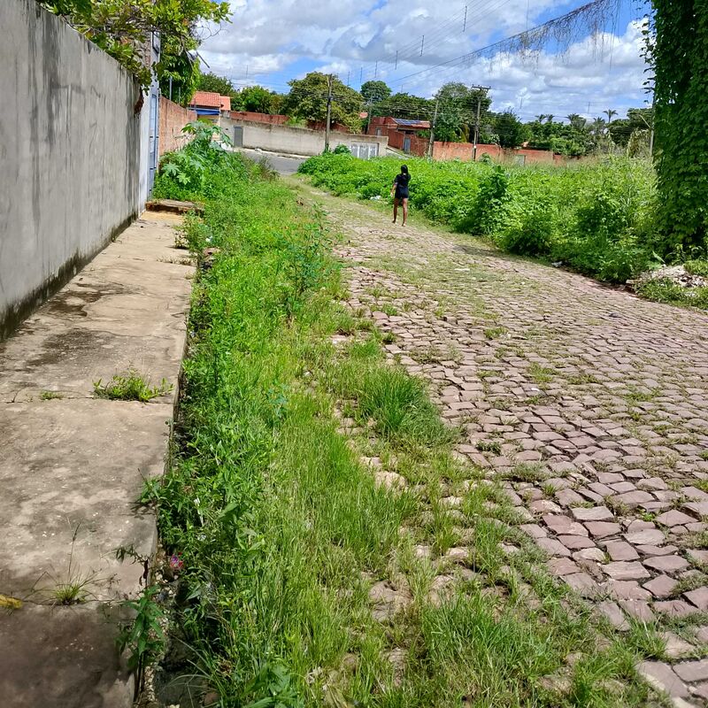 Imagem da publicação