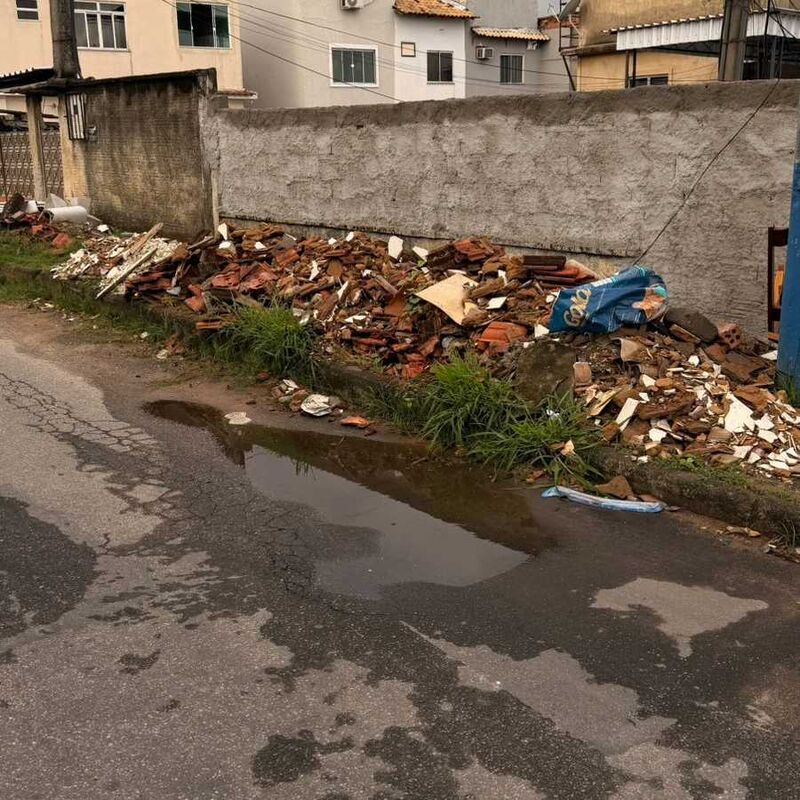 Imagem da publicação