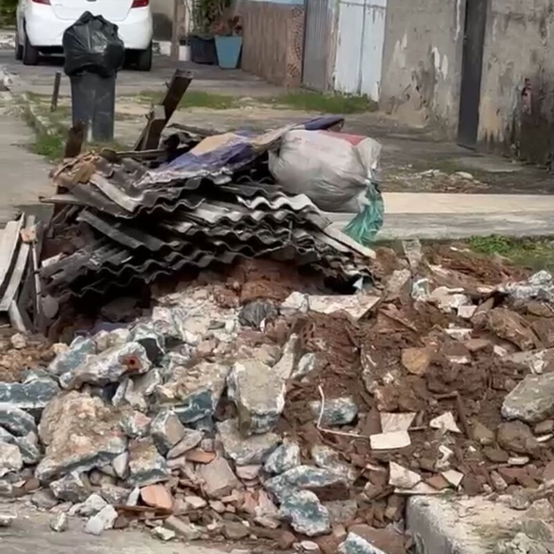 Imagem da publicação