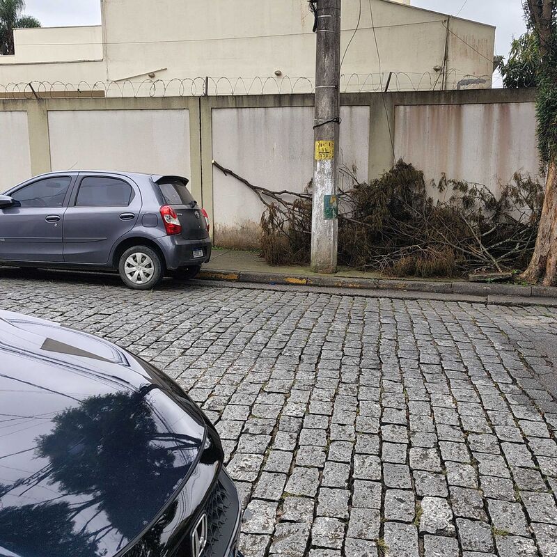 Imagem da publicação