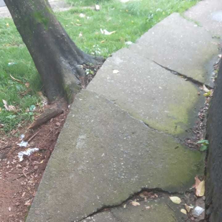 Imagem da publicação