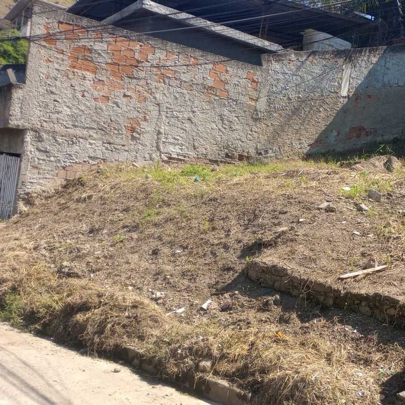 Imagem da publicação