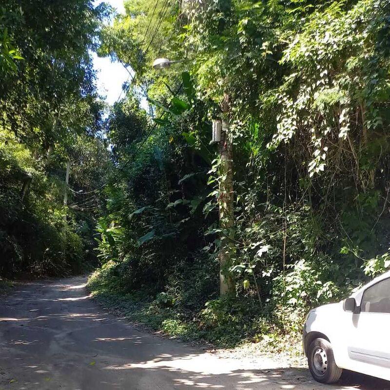 Imagem da publicação