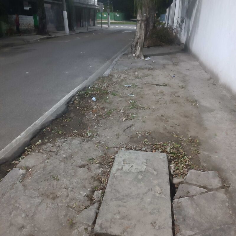 Imagem da publicação