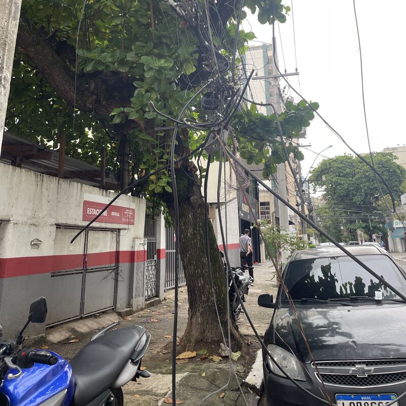 Imagem da publicação