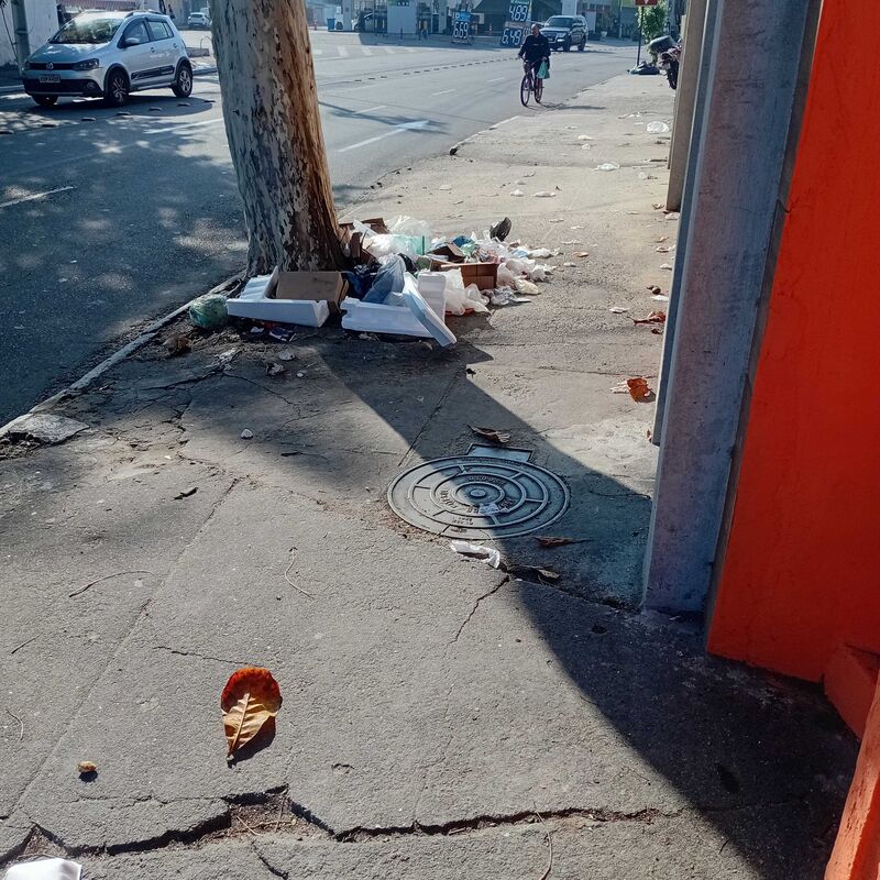 Imagem da publicação
