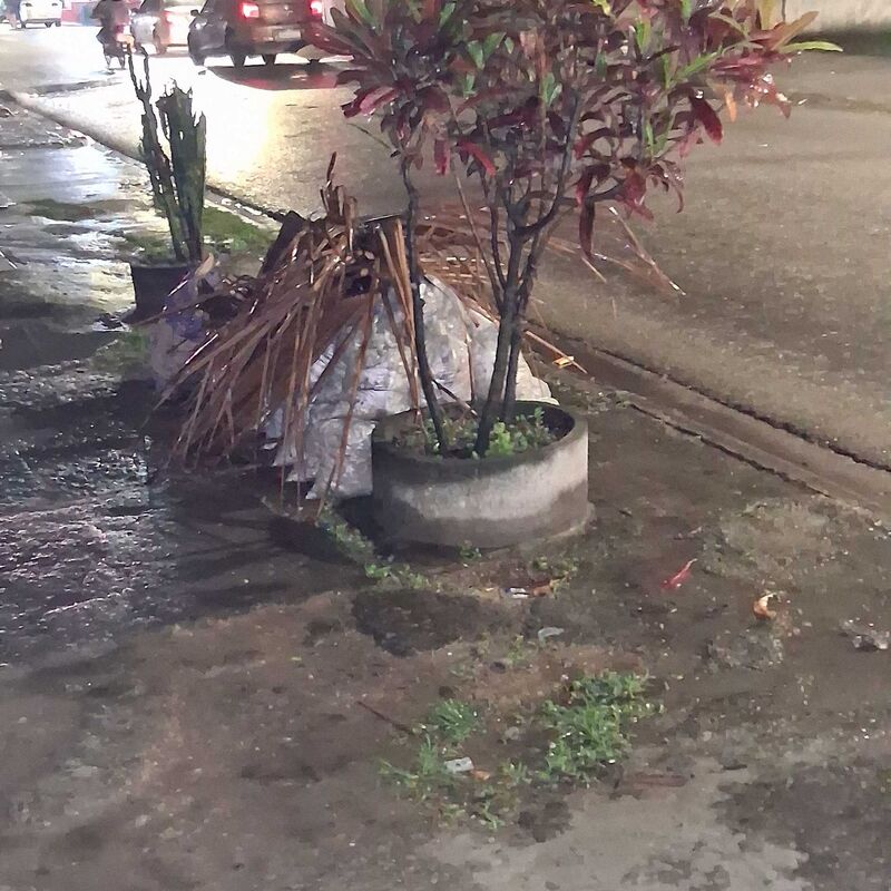 Imagem da publicação