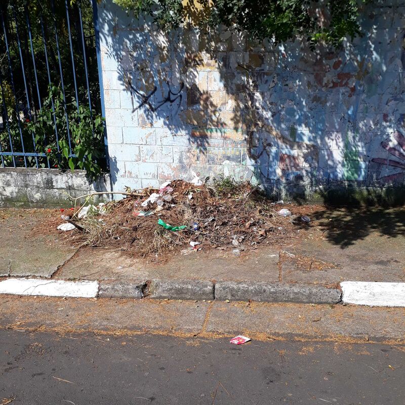 Imagem da publicação