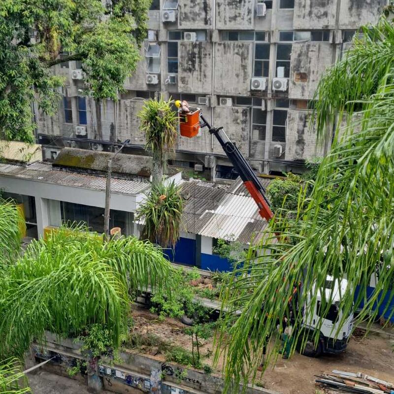 Imagem da publicação