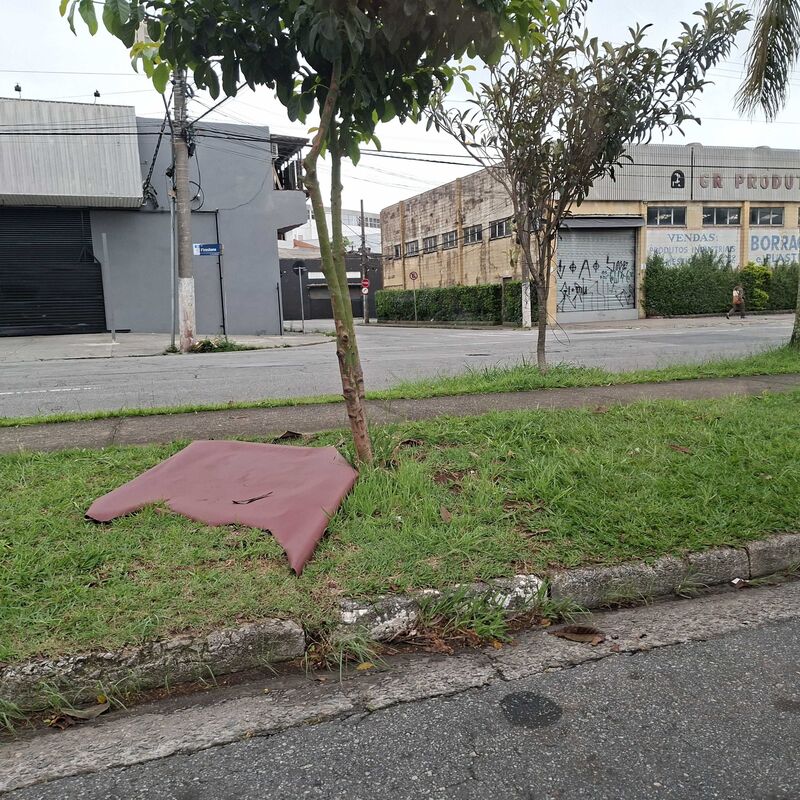 Imagem da publicação