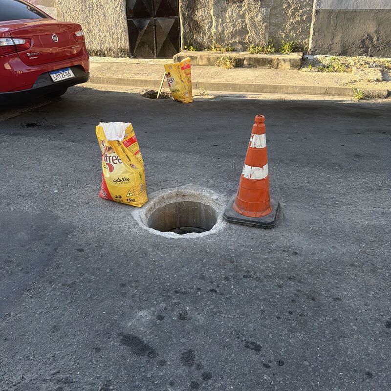 Imagem da publicação