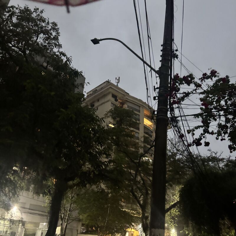 Imagem da publicação