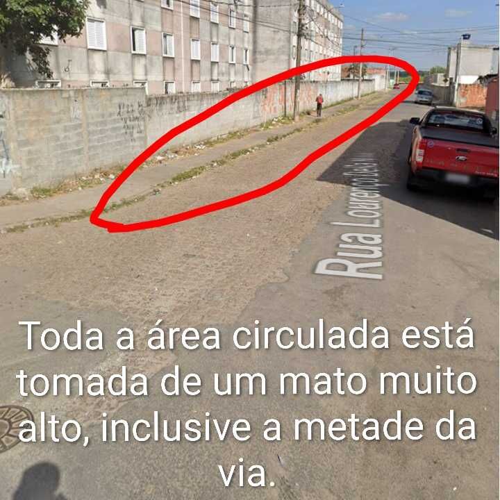 Imagem da publicação