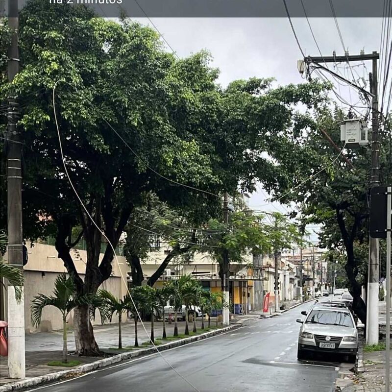 Imagem da publicação