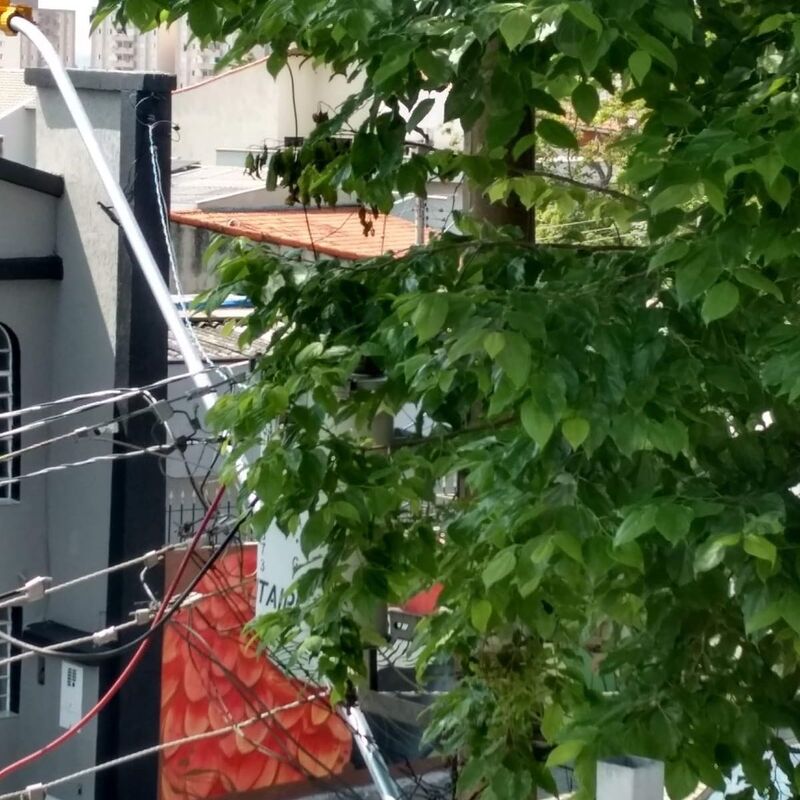 Imagem da publicação