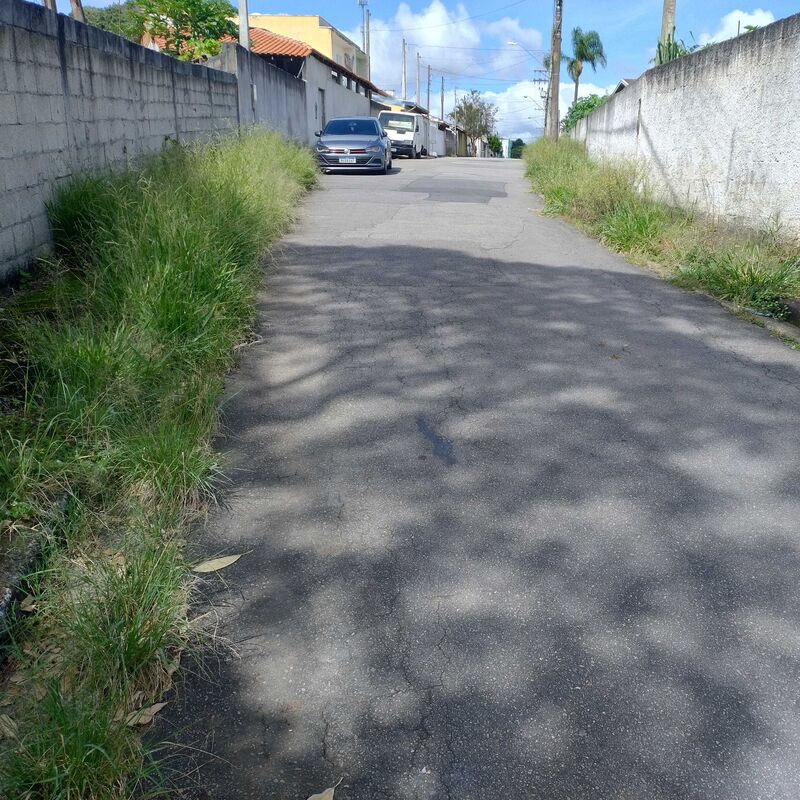 Imagem da publicação