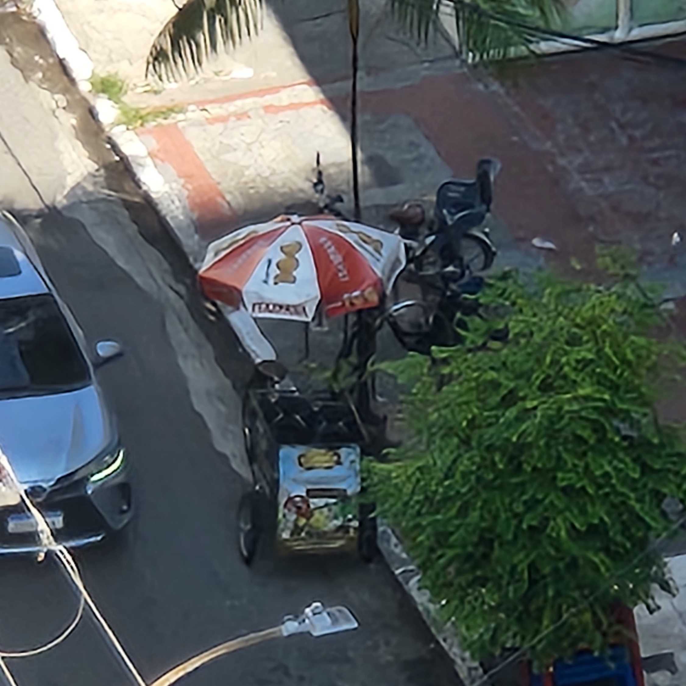 Imagem da publicação