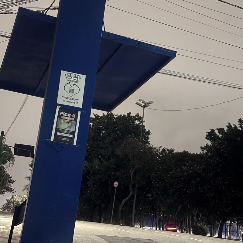 Imagem da publicação