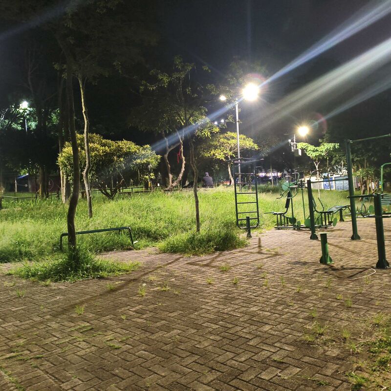 Imagem da publicação