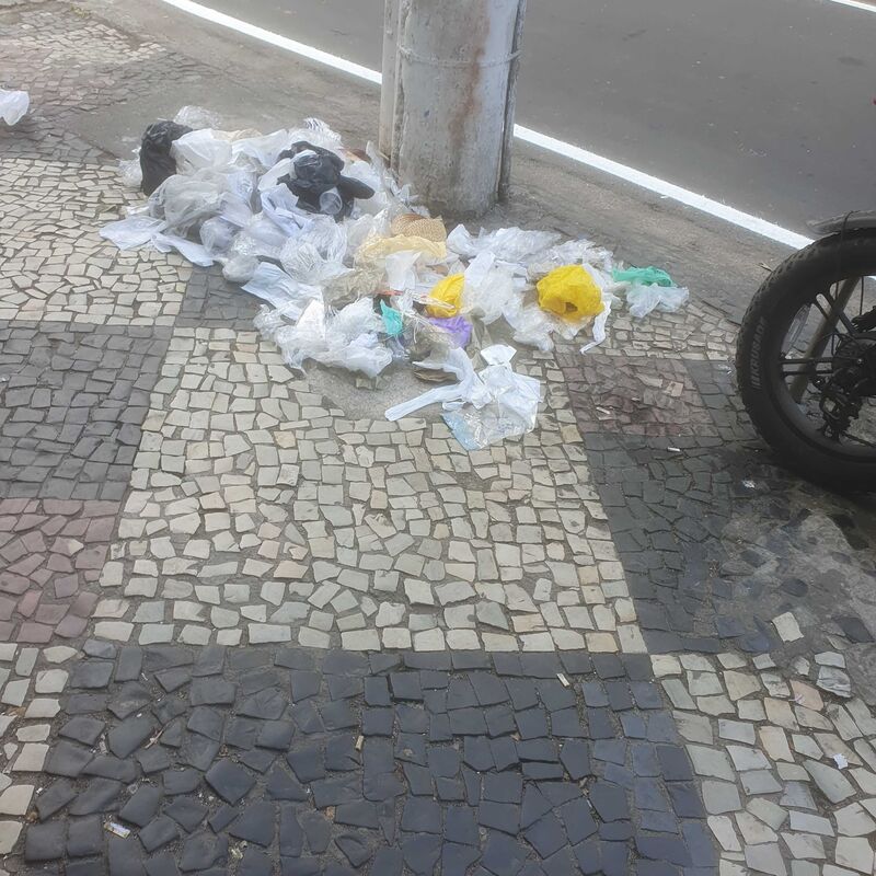 Imagem da publicação