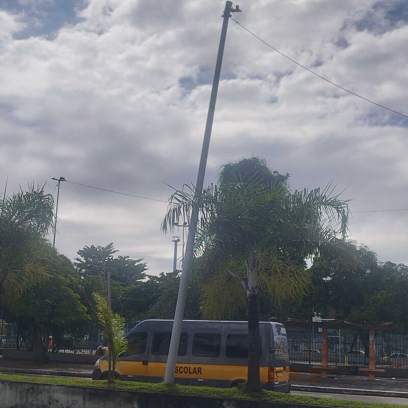 Imagem da publicação