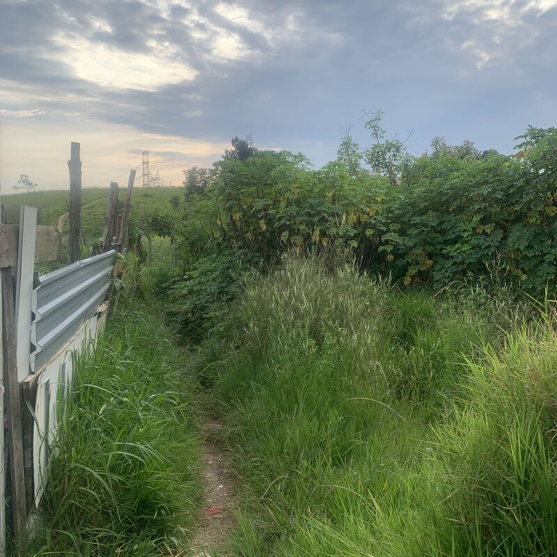 Imagem da publicação