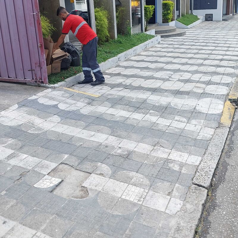 Imagem da publicação