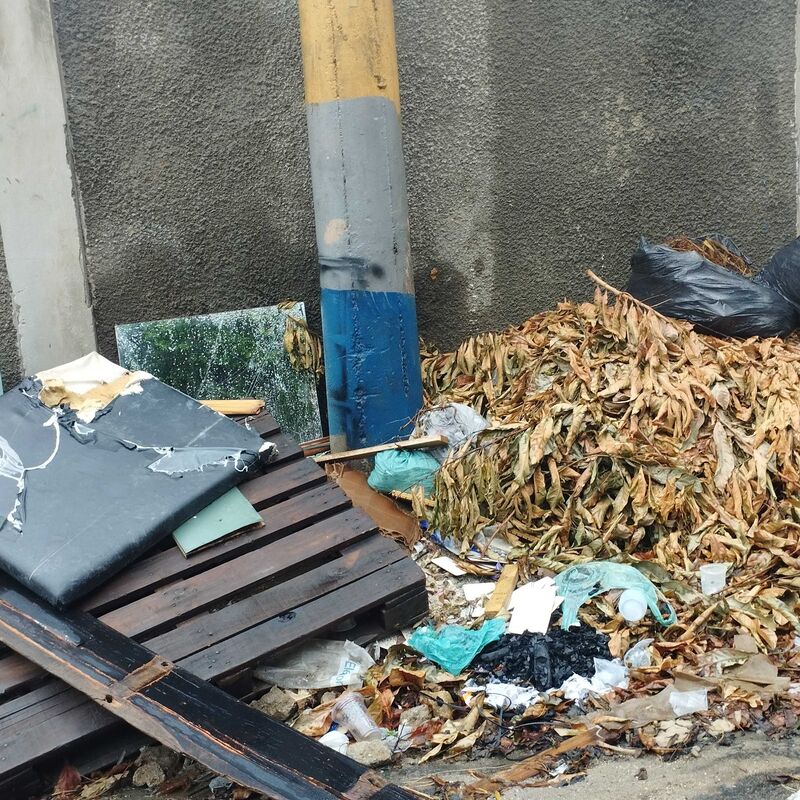 Imagem da publicação