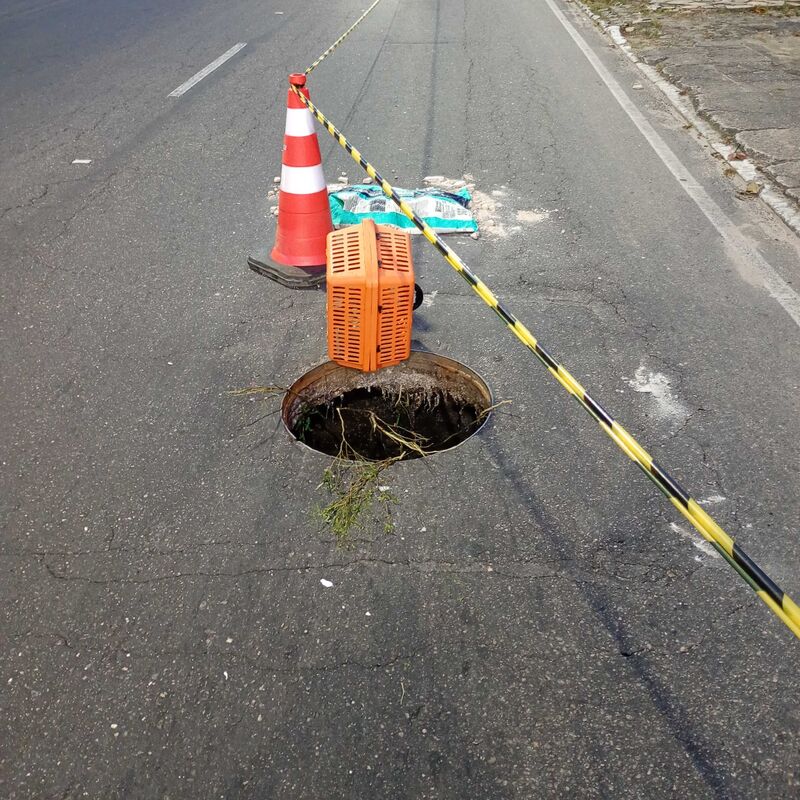 Imagem da publicação