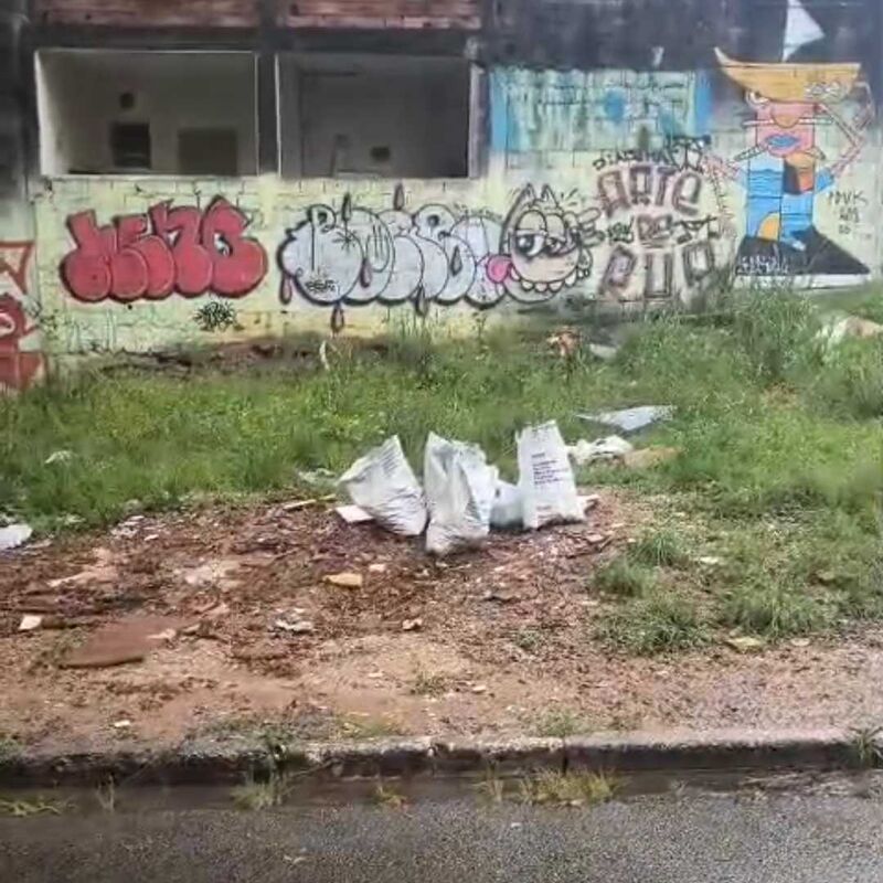 Imagem da publicação