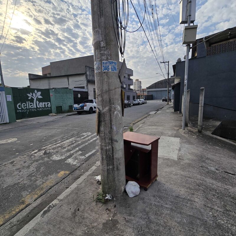 Imagem da publicação