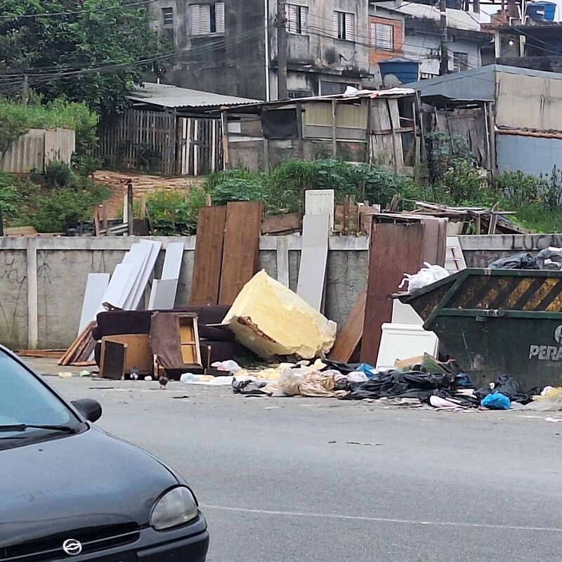 Imagem da publicação