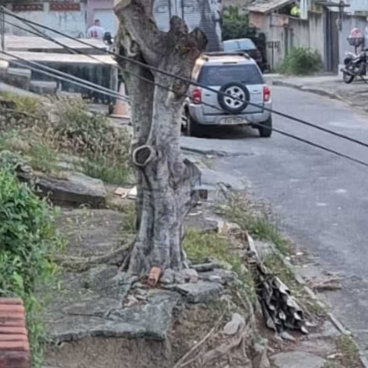 Imagem da publicação