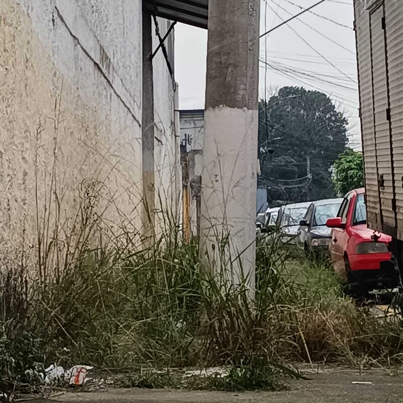 Imagem da publicação