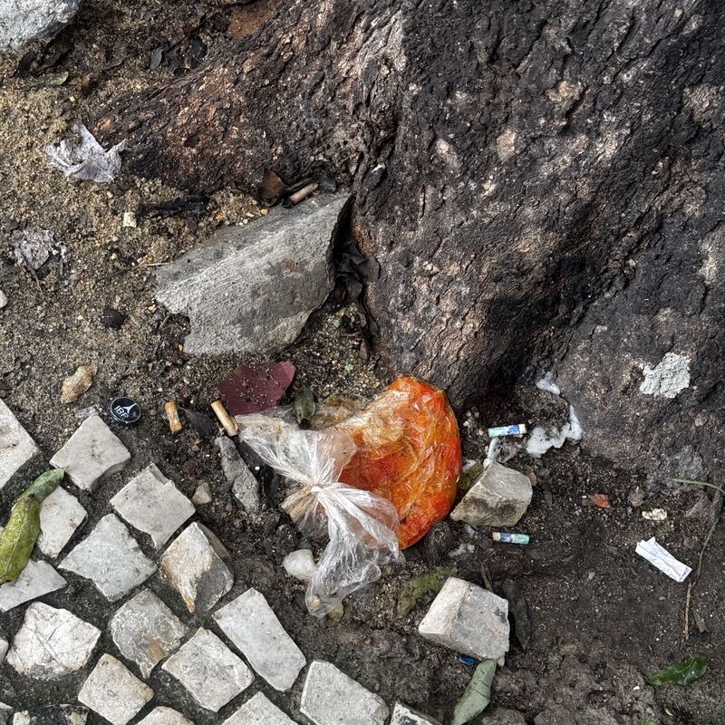 Imagem da publicação