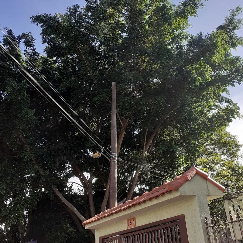 Imagem da publicação