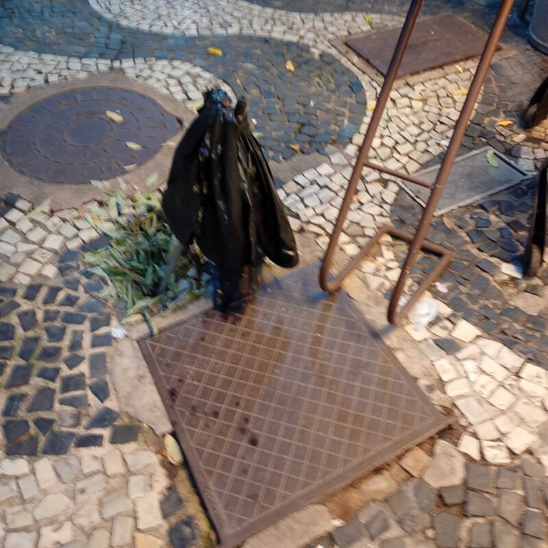 Imagem da publicação