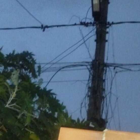 Imagem da publicação