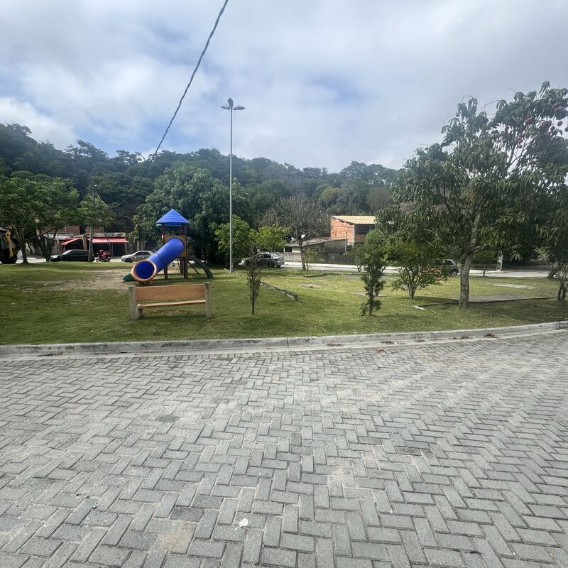 Imagem da publicação