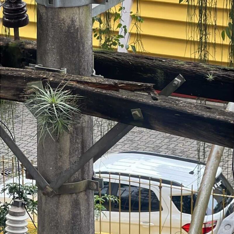 Imagem da publicação