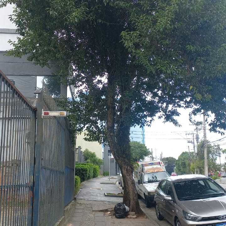 Imagem da publicação