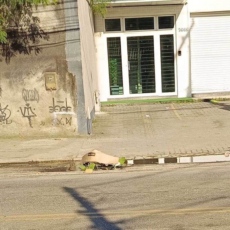 Imagem da publicação