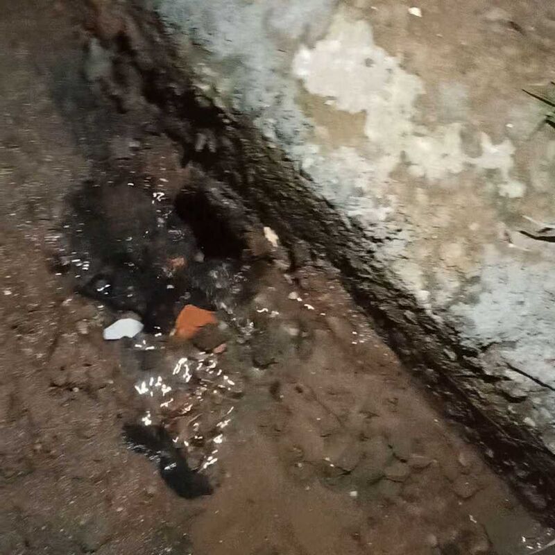 Imagem da publicação