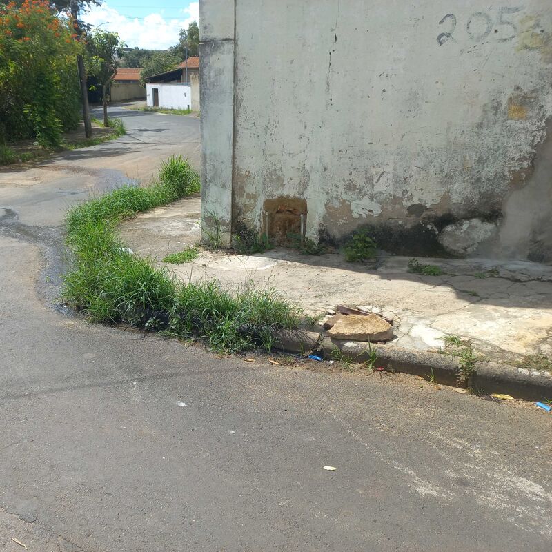 Imagem da publicação