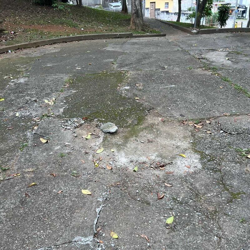 Imagem da publicação
