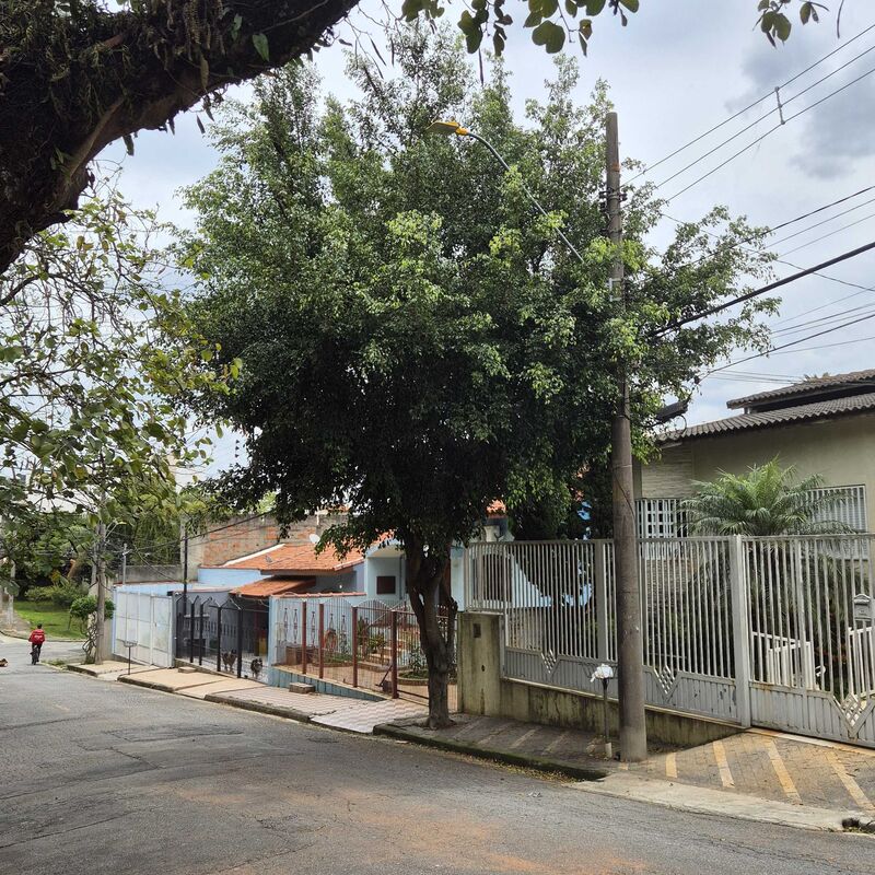 Imagem da publicação